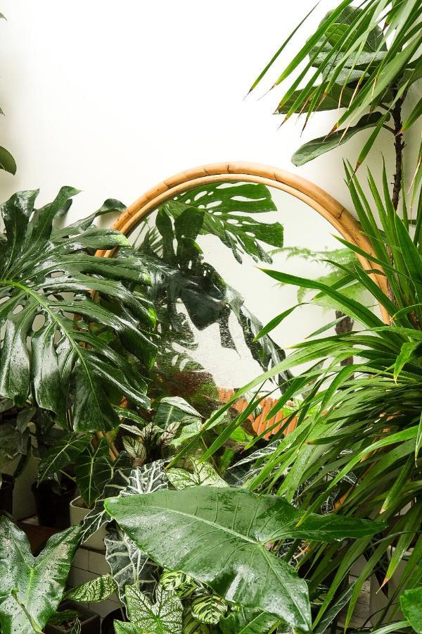 Lae Hostel トゥイホア エクステリア 写真